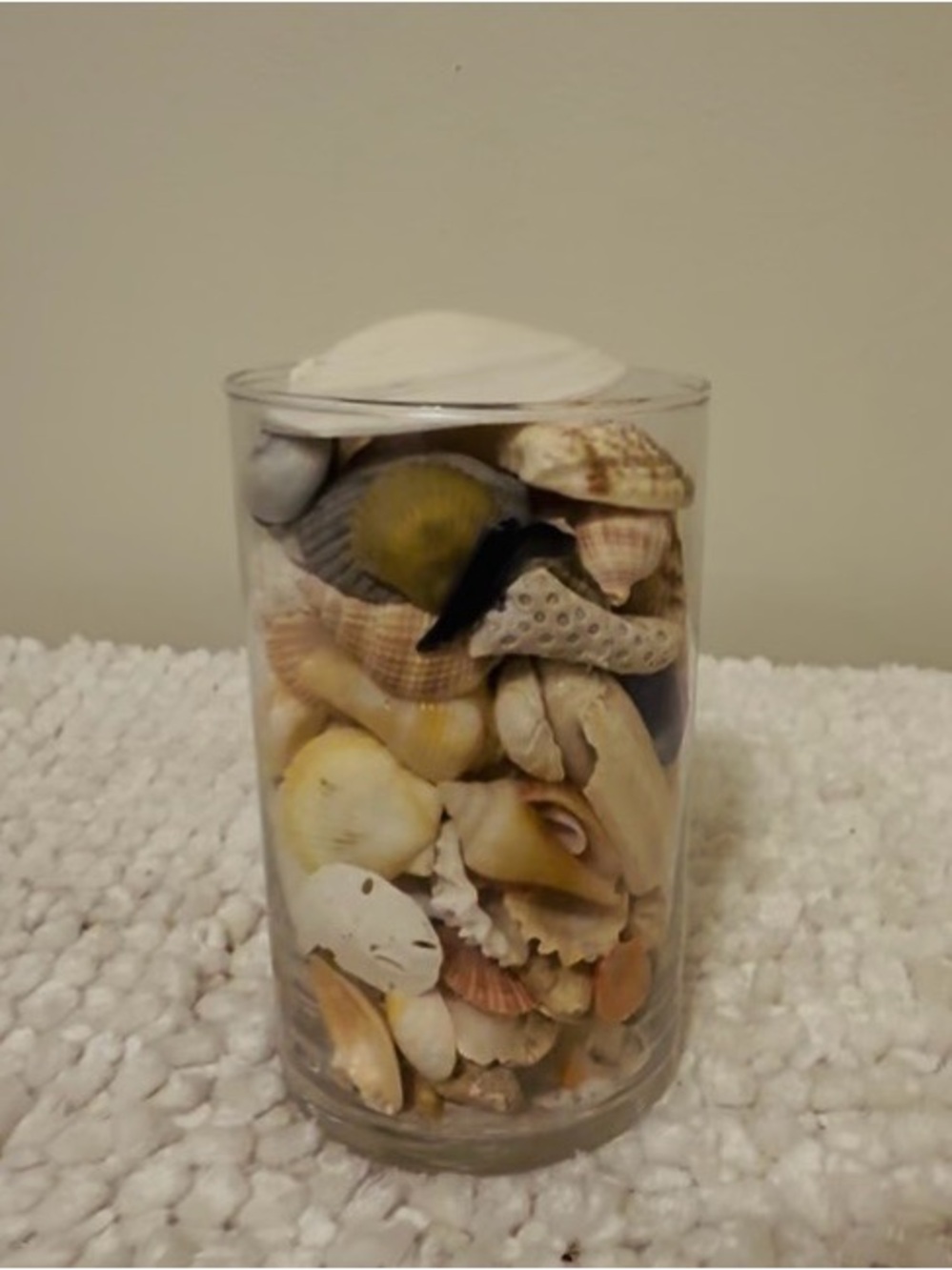 Decorative Glass Jar w/authentic local FL handpicked shells.